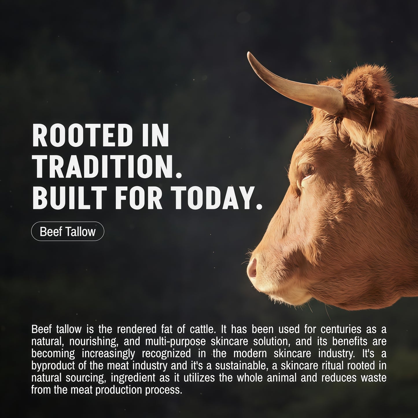 FORGE SKIN® Wrinkle Defense Beef Tallow Balm for Men [TALLOW-BASED] Moisturizer for Face Hydration - Hydrating Anti Aging Skin Cream - Natural Facial Skincare Lotion with Essential Oils (1.7 OZ)